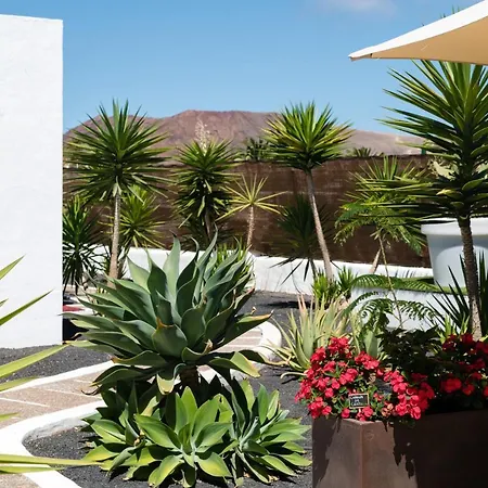 New Lanzasuites Villa Playa Blanca (Lanzarote)